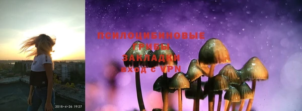 дживик Балахна